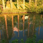 Canalside Sunset