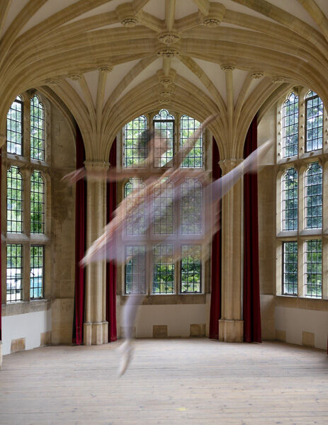 Ghost In The Mansion