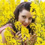 Ivy In The Rapeseed
