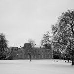 Lydiard Snow Tree 3