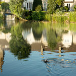 Malmesbury Riverside