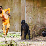 Monkey Business