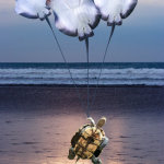 Stingray Balloons