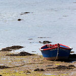 Waiting For The Tide