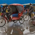 Watching The Rickshaw