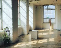 Daylight Studio
