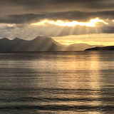 Golden Light