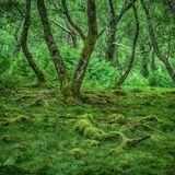 Green country