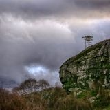 Sentinal Tree