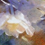 Abstract Flower