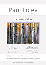 Paul Foley's solo exhibition