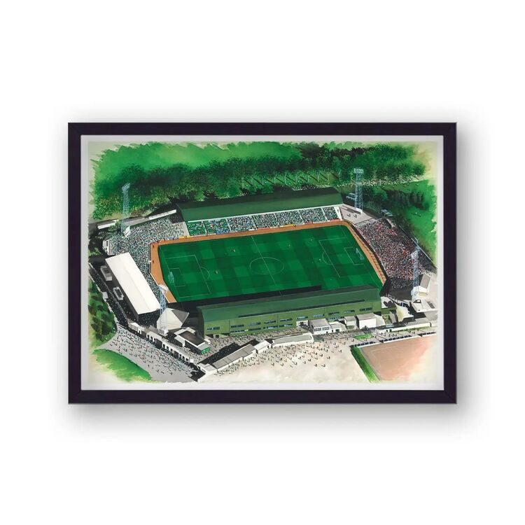 Home Park Home of Plymouth Argyle FC Framed Stadium Art Print