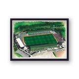Home Park Home of Plymouth Argyle FC Framed Stadium Art Print