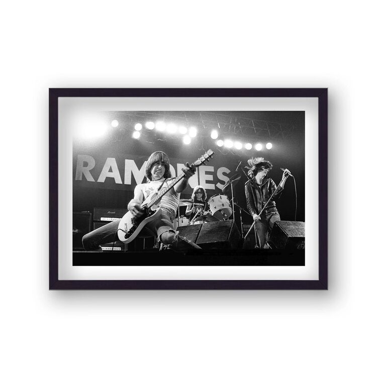 The Ramones Live on Stage Music Framed Art Print