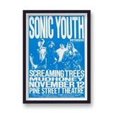 Sonic Youth Screaming Trees Mudhoney vintage gig Music Framed Art Print