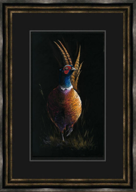 Cock of the Walk - Pheasant Framed Limited Edition Art Print by Kay Johns