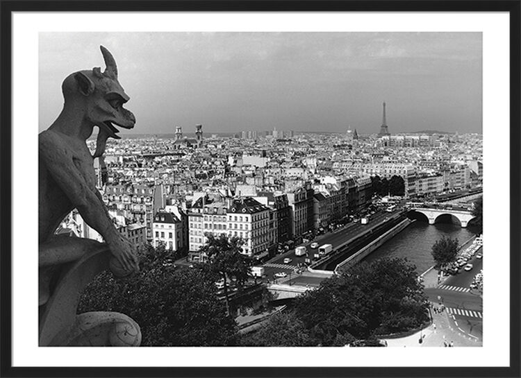 View from Notre-Dame, Paris Framed Art Print by Heiko Lanio