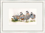 Hidden Grey - French Partridge Framed Limited Edition Art Print by Kay Johns