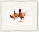 The Gentry - Pheasants Framed Limited Edition Art Print by Kay Johns