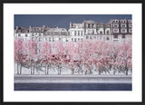 River Seine Infrared, Paris Framed Art Print by David Clapp