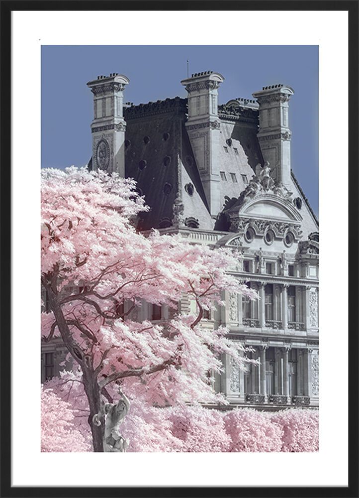 Jardin de Tuilieres Infrared, Paris Framed Art Print by David Clapp