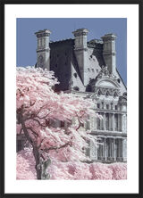 Jardin de Tuilieres Infrared, Paris Framed Art Print by David Clapp