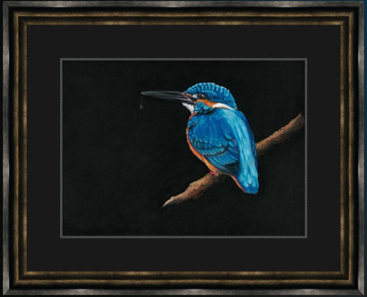 Royal Blue - Kingfisher Framed Limited Edition Art Print by Kay Johns