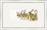 The Line Up - Hares Framed Limited Edition Art Print by Kay Johns