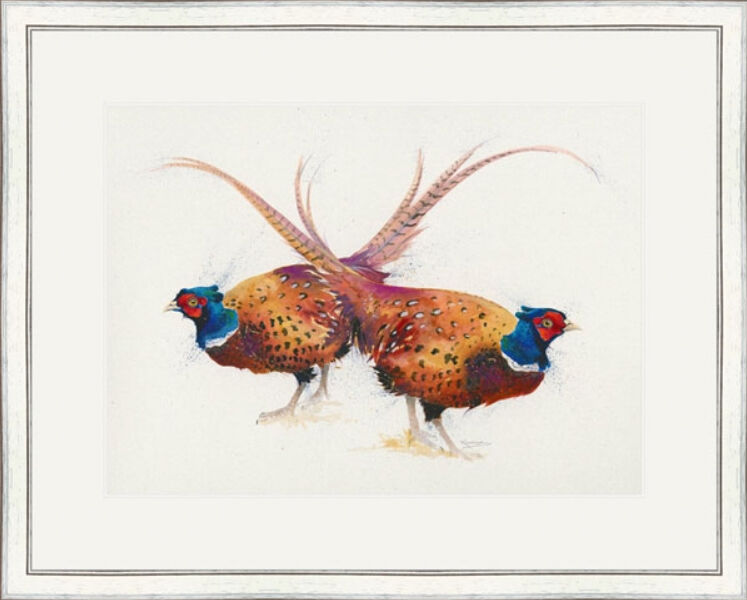 Pheasant Greetings - Pheasants Framed Limited Edition Art Print by Kay Johns