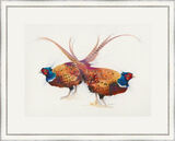 Pheasant Greetings - Pheasants Framed Limited Edition Art Print by Kay Johns
