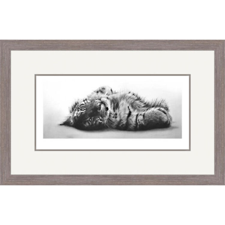 Siberian Sunbather - Siberian Tiger Cub Framed Limited Edition Art Print by Jamie Boots