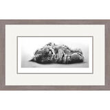 Siberian Sunbather - Siberian Tiger Cub Framed Limited Edition Art Print by Jamie Boots