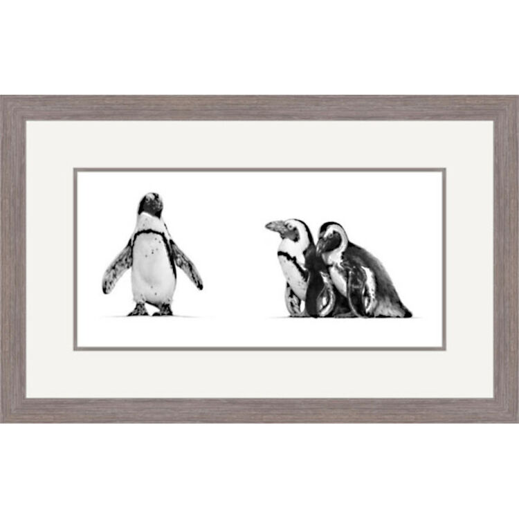 Do Try To Keep Up - Penguins Framed Limited Edition Art Print by Jamie Boots