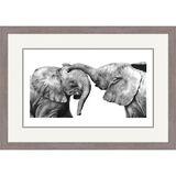 Playmates - African Elephants Framed Limited Edition Art Print by Jamie Boots