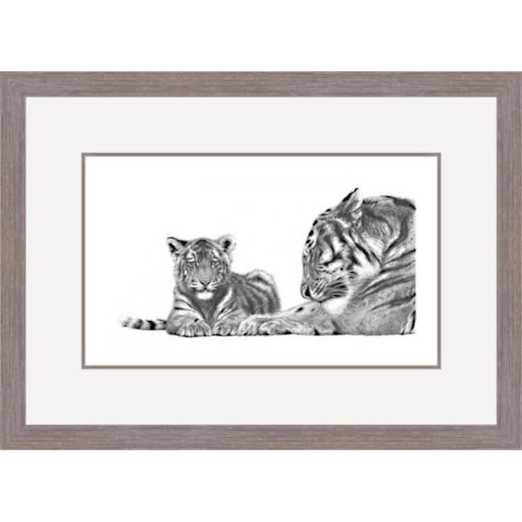No Greater Love - Siberian Tiger & Cub Framed Limited Edition Art Print by Jamie Boots