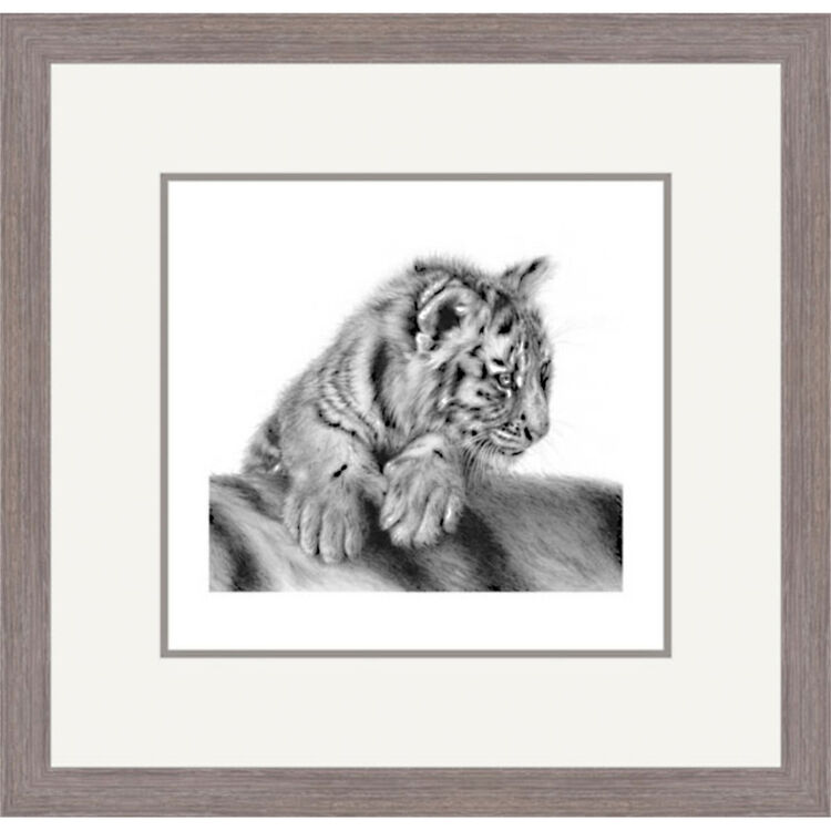 Looking For Trouble Framed Limited Edition Art Print by Jamie Boots