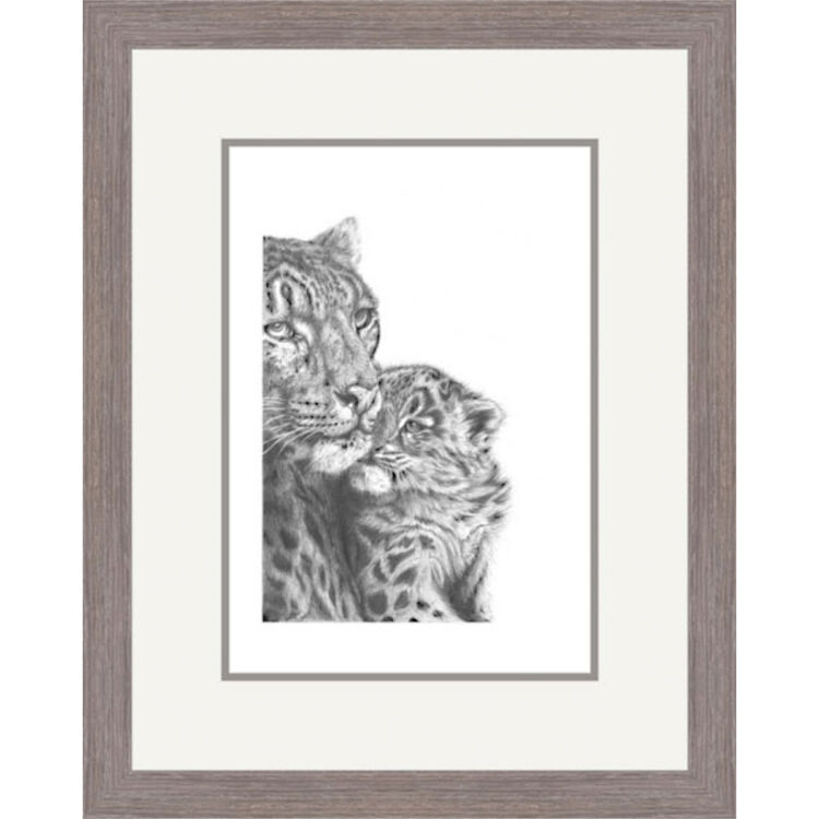 Gentle Touch - Snow Leopard Framed Limited Edition Art Print by Jamie Boots