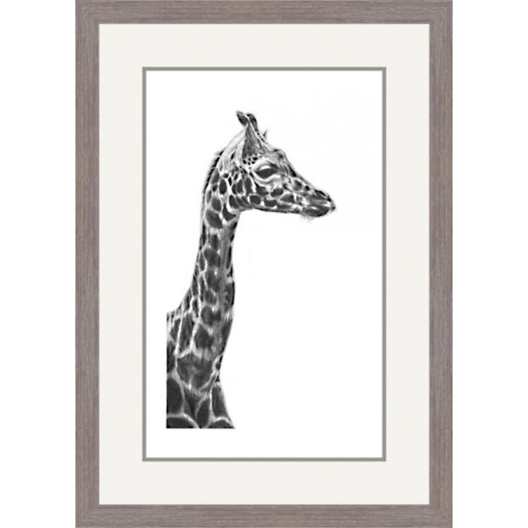 Elegance - Giraffe Framed Limited Edition Art Print by Jamie Boots