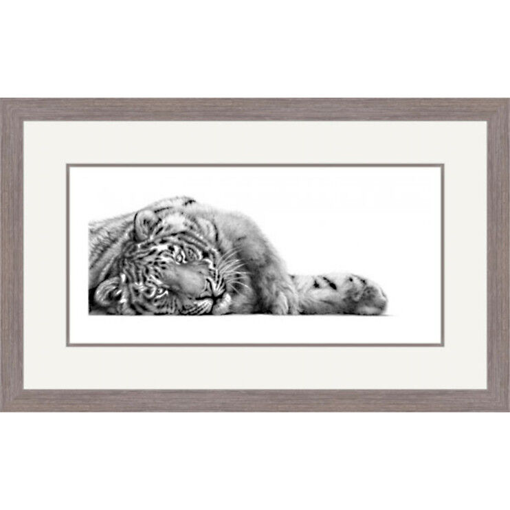 Do Not Disturb - Siberian Tiger Framed Limited Edition Art Print by Jamie Boots