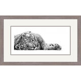 Do Not Disturb - Siberian Tiger Framed Limited Edition Art Print by Jamie Boots