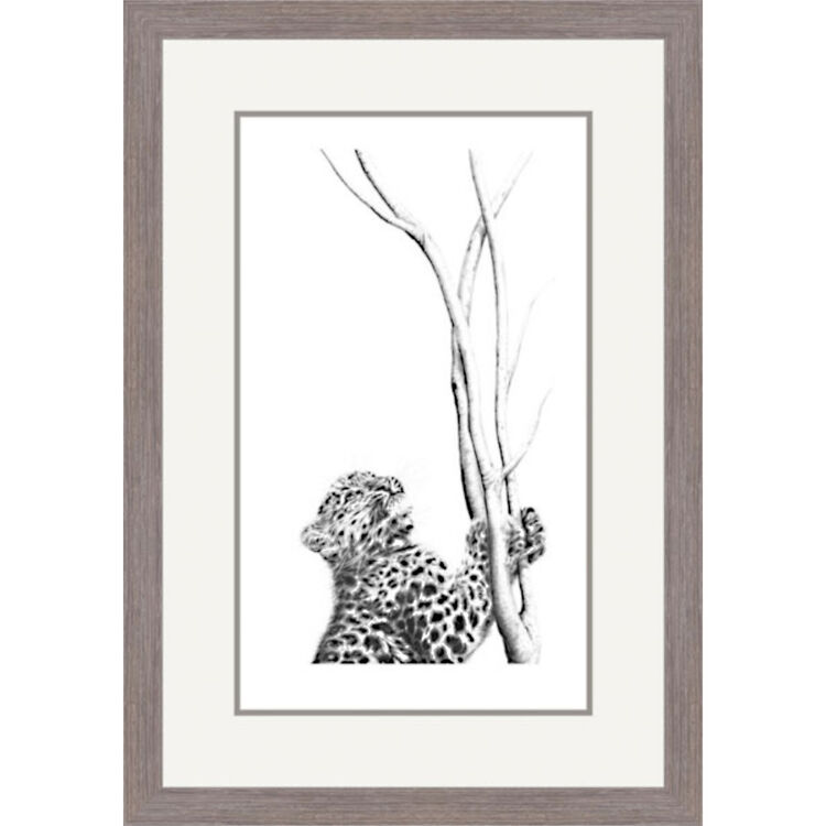 Out of Reach - Amur Leopard Framed Limited Edition Art Print by Jamie Boots