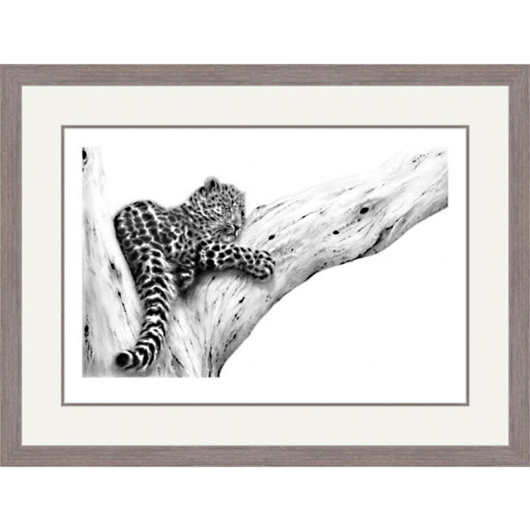 Out On A Limb - Amur Leopard Framed Limited Edition Art Print by Jamie Boots