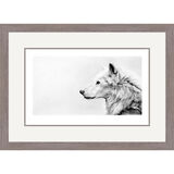 Endless Winter - Wolf Framed Limited Edition Art Print by Jamie Boots
