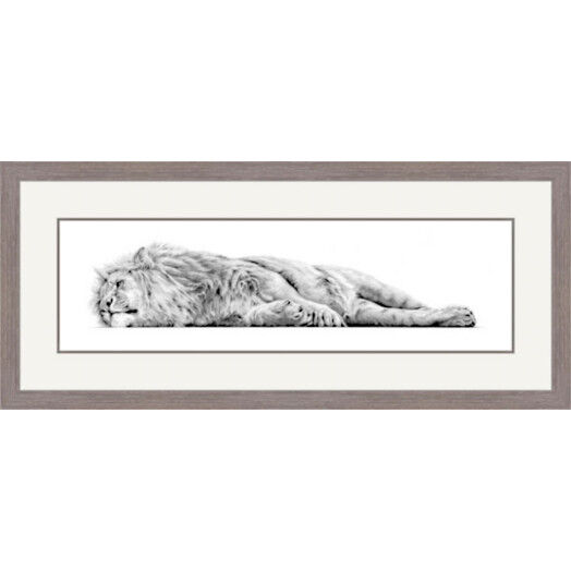 The Lazy King - African Lion Framed Limited Edition Art Print by Jamie Boots