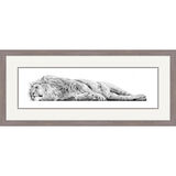 The Lazy King - African Lion Framed Limited Edition Art Print by Jamie Boots