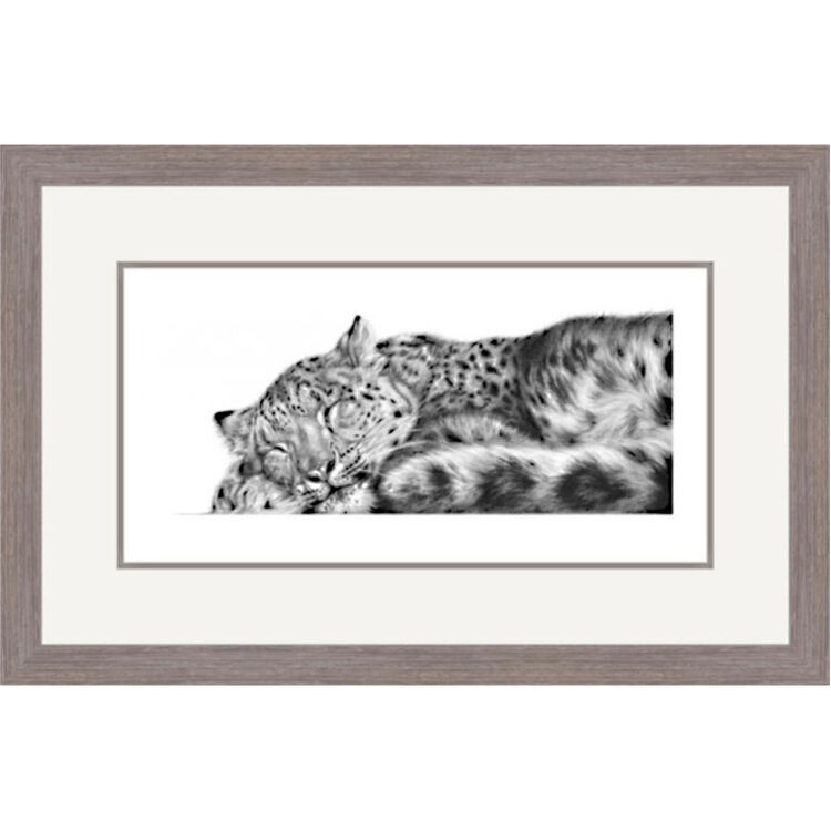 Sweet Dreams - Snow Leopard Framed Limited Edition Art Print by Jamie Boots