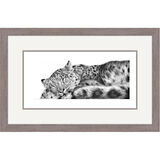 Sweet Dreams - Snow Leopard Framed Limited Edition Art Print by Jamie Boots