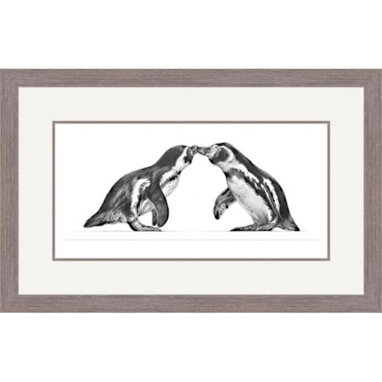 Kiss and Make Up - Penguins Framed Limited Edition Art Print by Jamie Boots