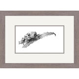 Ruby Eyed - Tree Frog Framed Limited Edition Art Print by Jamie Boots