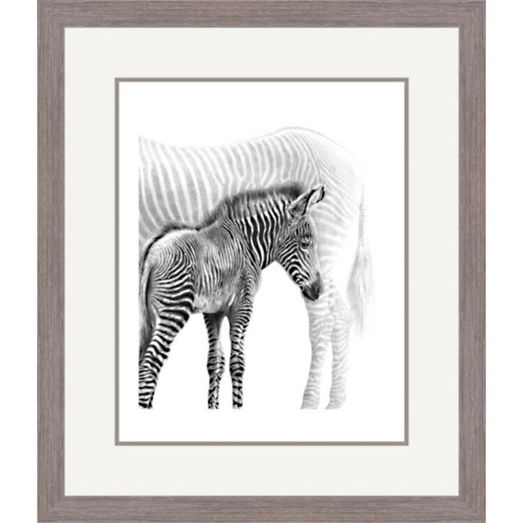 Kaleidoscope - Grevys Zebras Framed Limited Edition Art Print by Jamie Boots